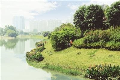 timg (5).jpg