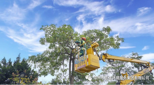 微信图片_20210505084231.png
